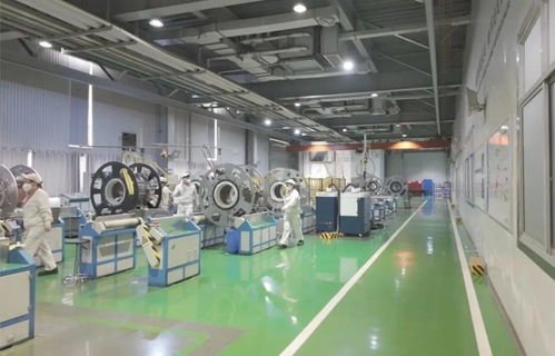 以教育之強譜寫高質量發展新篇 浙江大學勇擔使命，引領軟件研發與銷售創新實踐